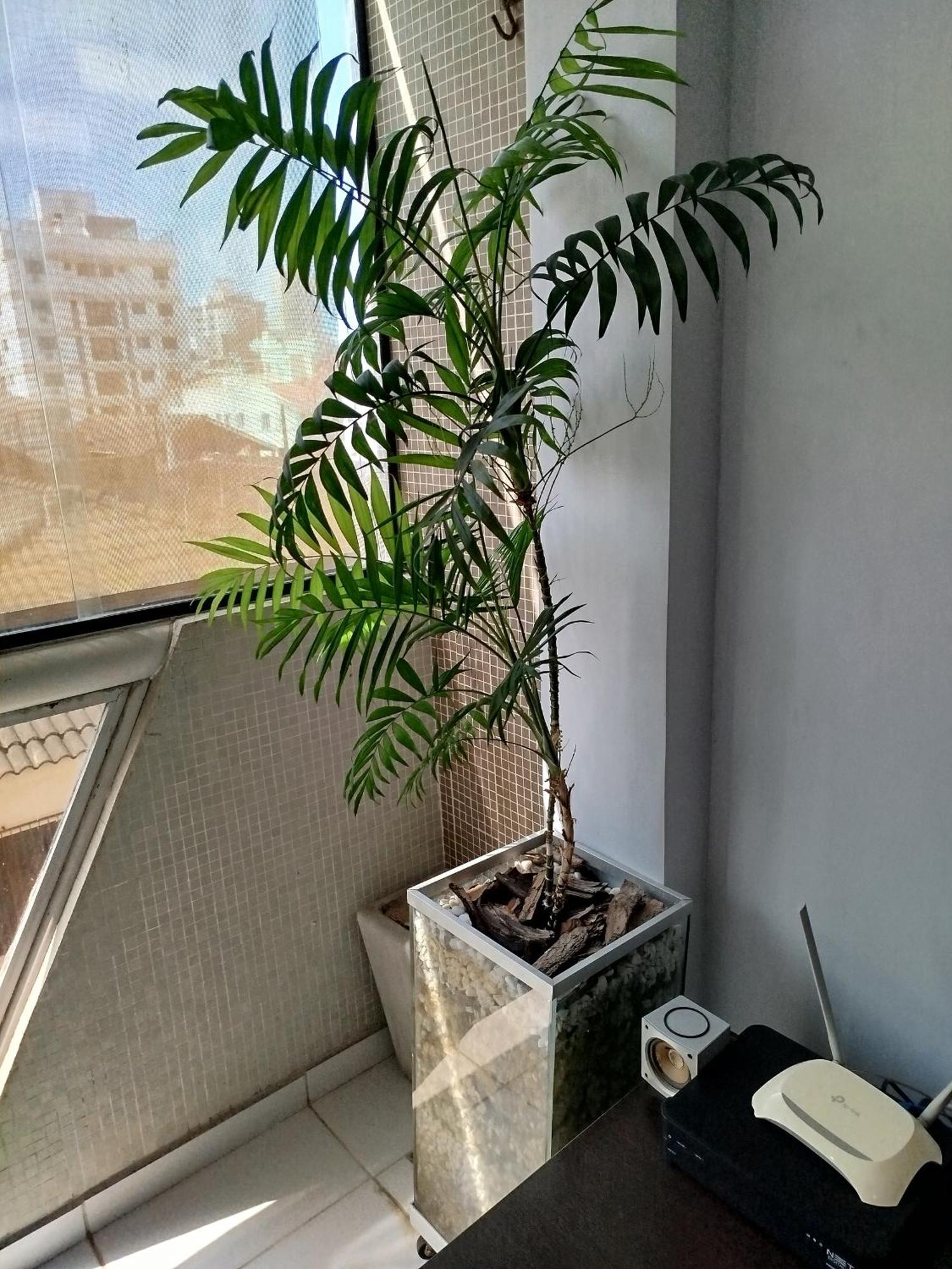 Apartamento Impecavel Na Enseada Guarujá Exteriér fotografie